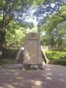 说明: 树林间的小路描述已自动生成